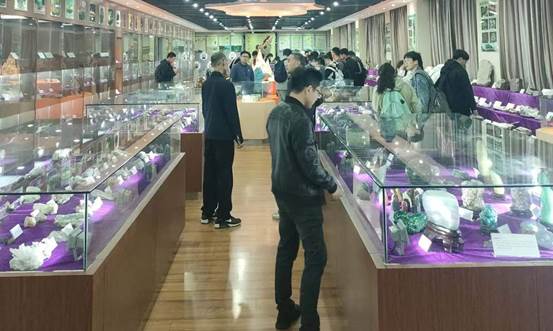 868147911e8c354e53d4a50d1239982