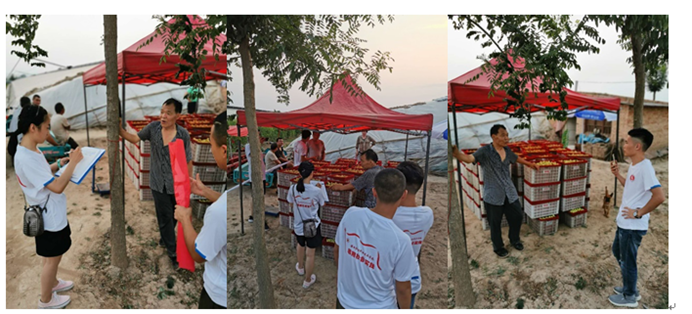 a11c2de7b9a4a9eb0cf4348411c35f7