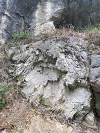 a1770877acec891be2ec4cc43a501ce